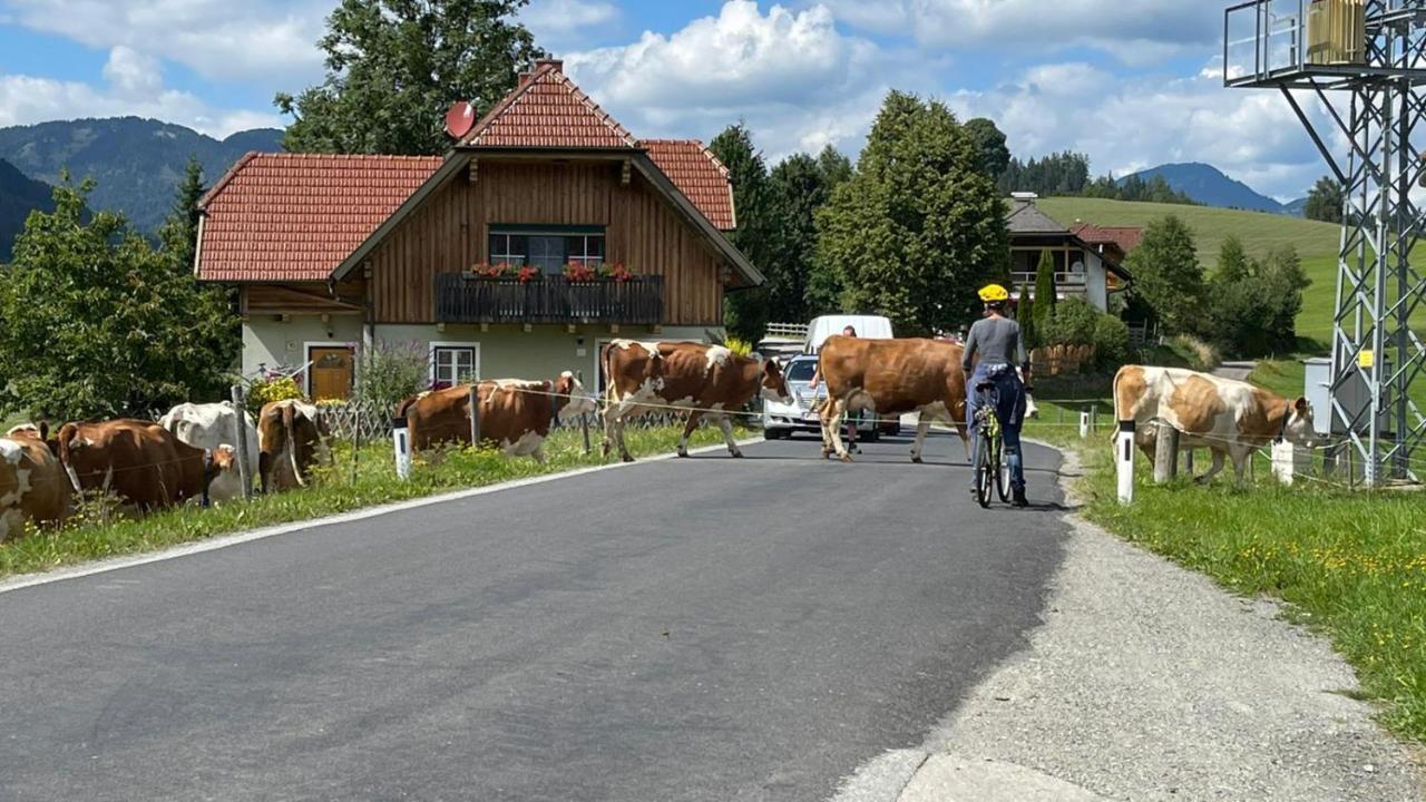 Vila Biohof Kock Tonibauer Zeutschach Exteriér fotografie