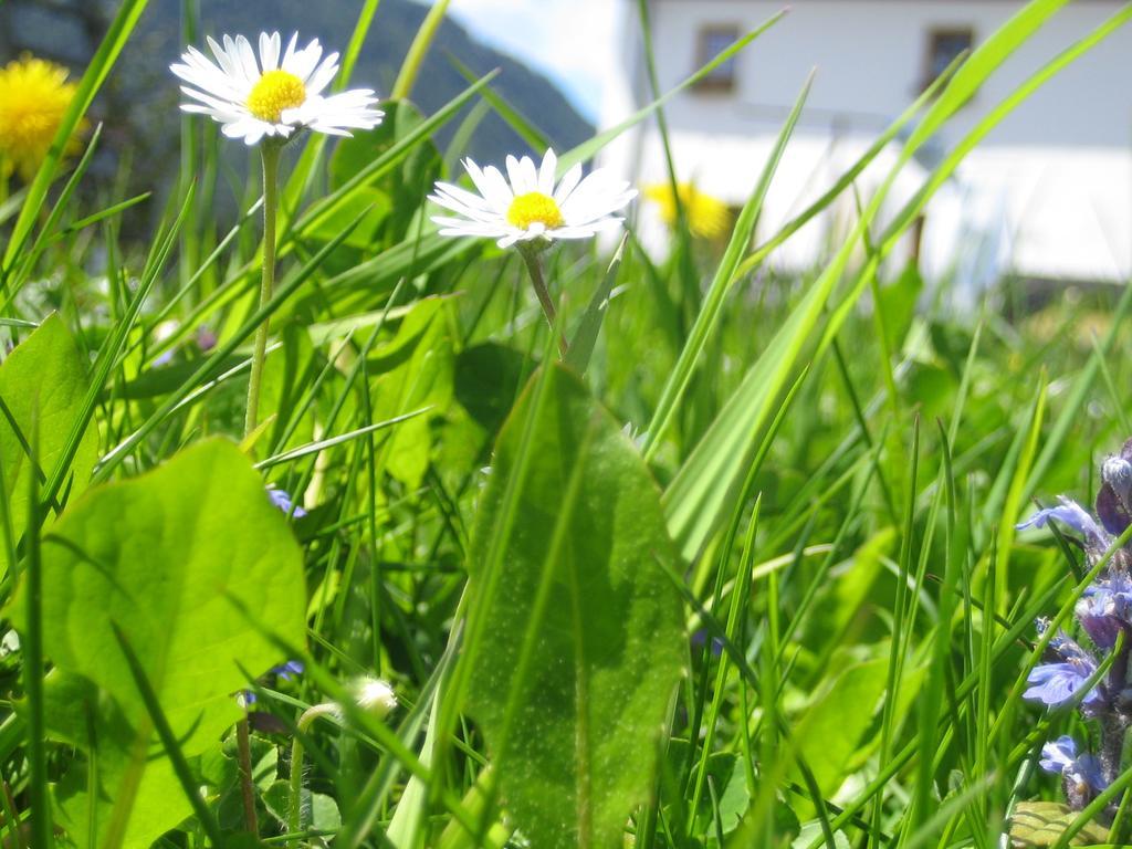 Vila Biohof Kock Tonibauer Zeutschach Exteriér fotografie