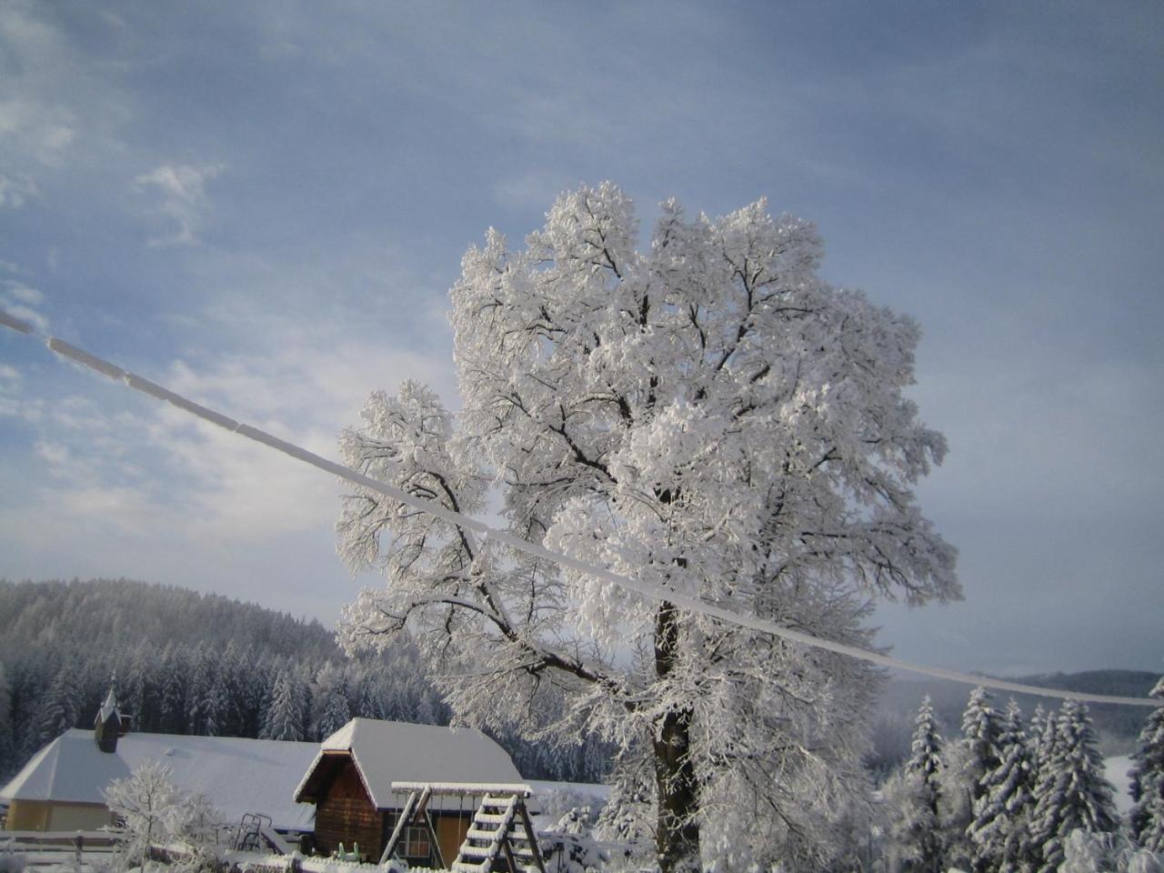 Vila Biohof Kock Tonibauer Zeutschach Exteriér fotografie