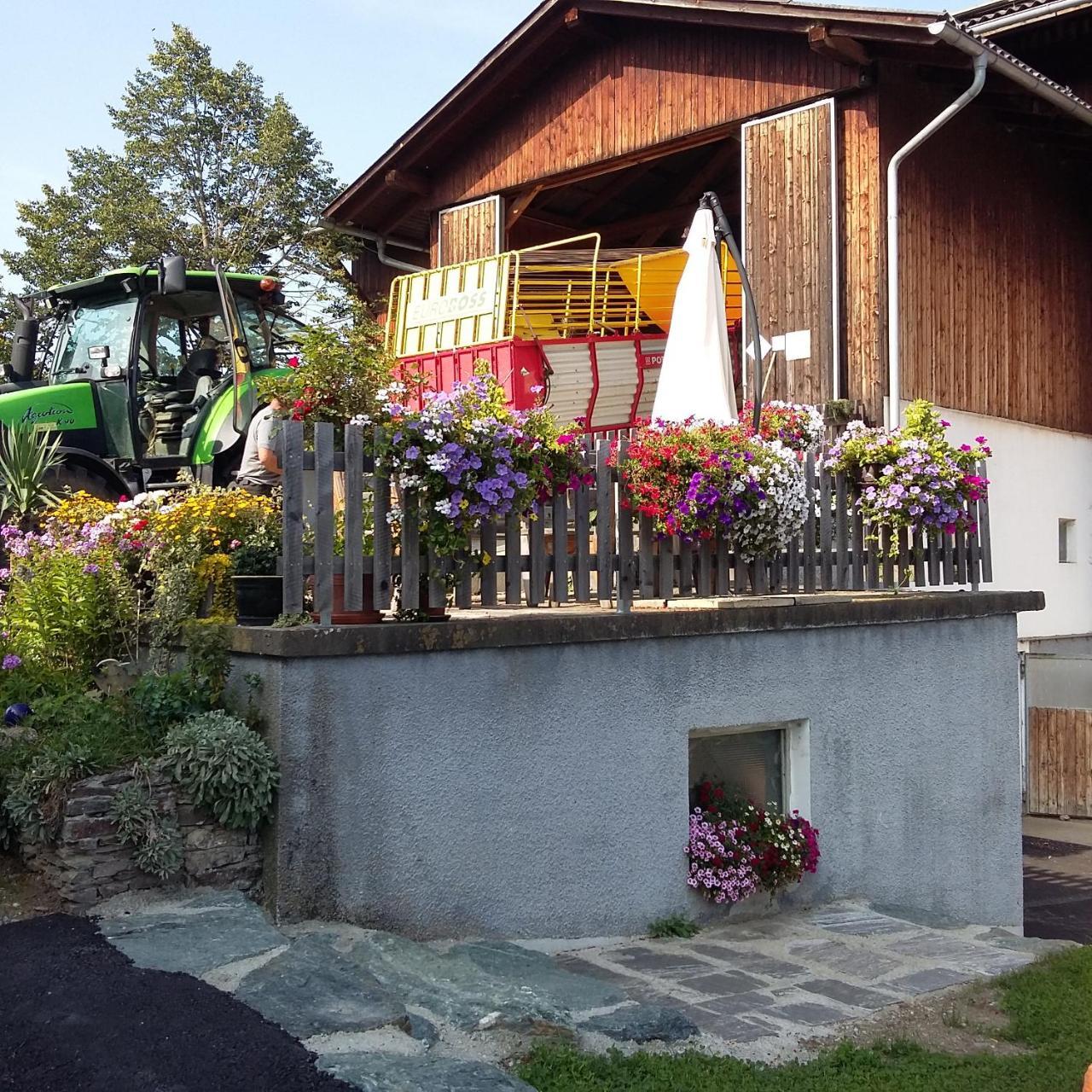 Vila Biohof Kock Tonibauer Zeutschach Exteriér fotografie