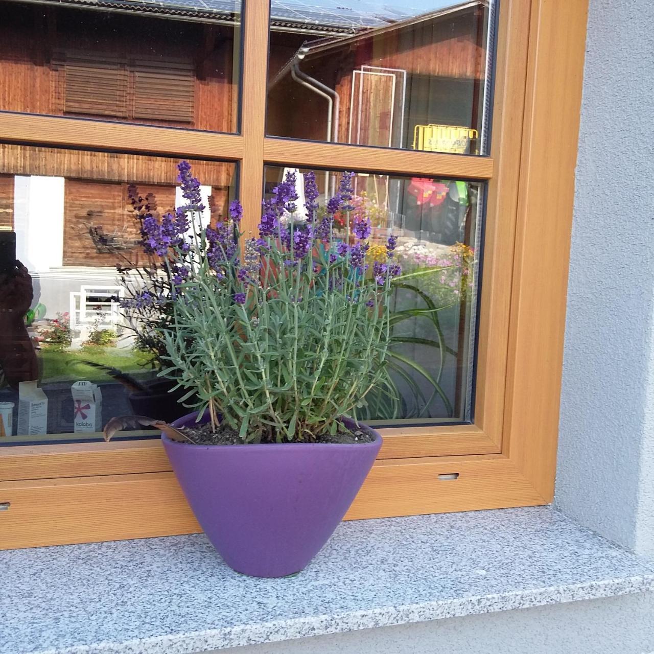 Vila Biohof Kock Tonibauer Zeutschach Exteriér fotografie